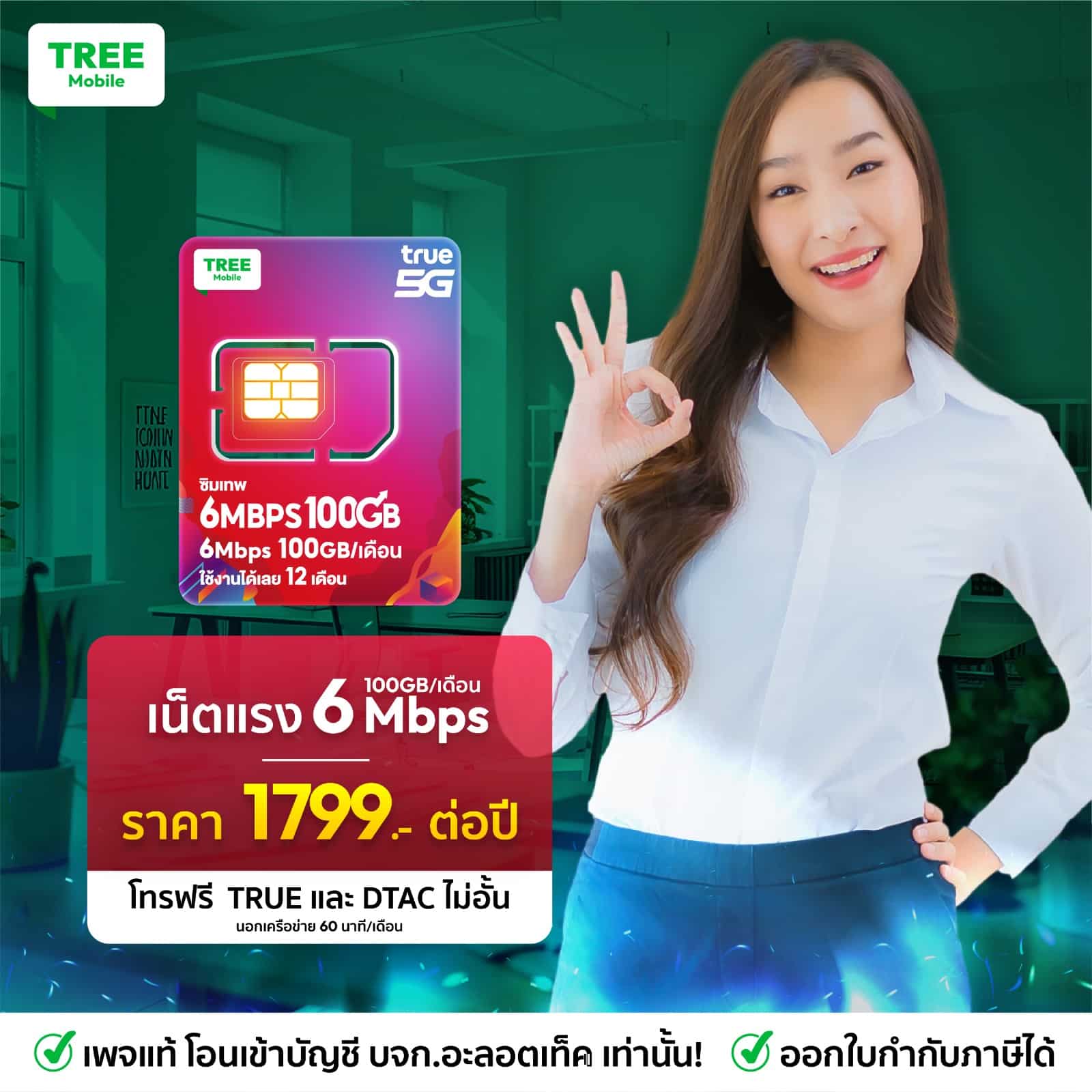 ซิมเน็ตรายปี True 6mbps 100GB