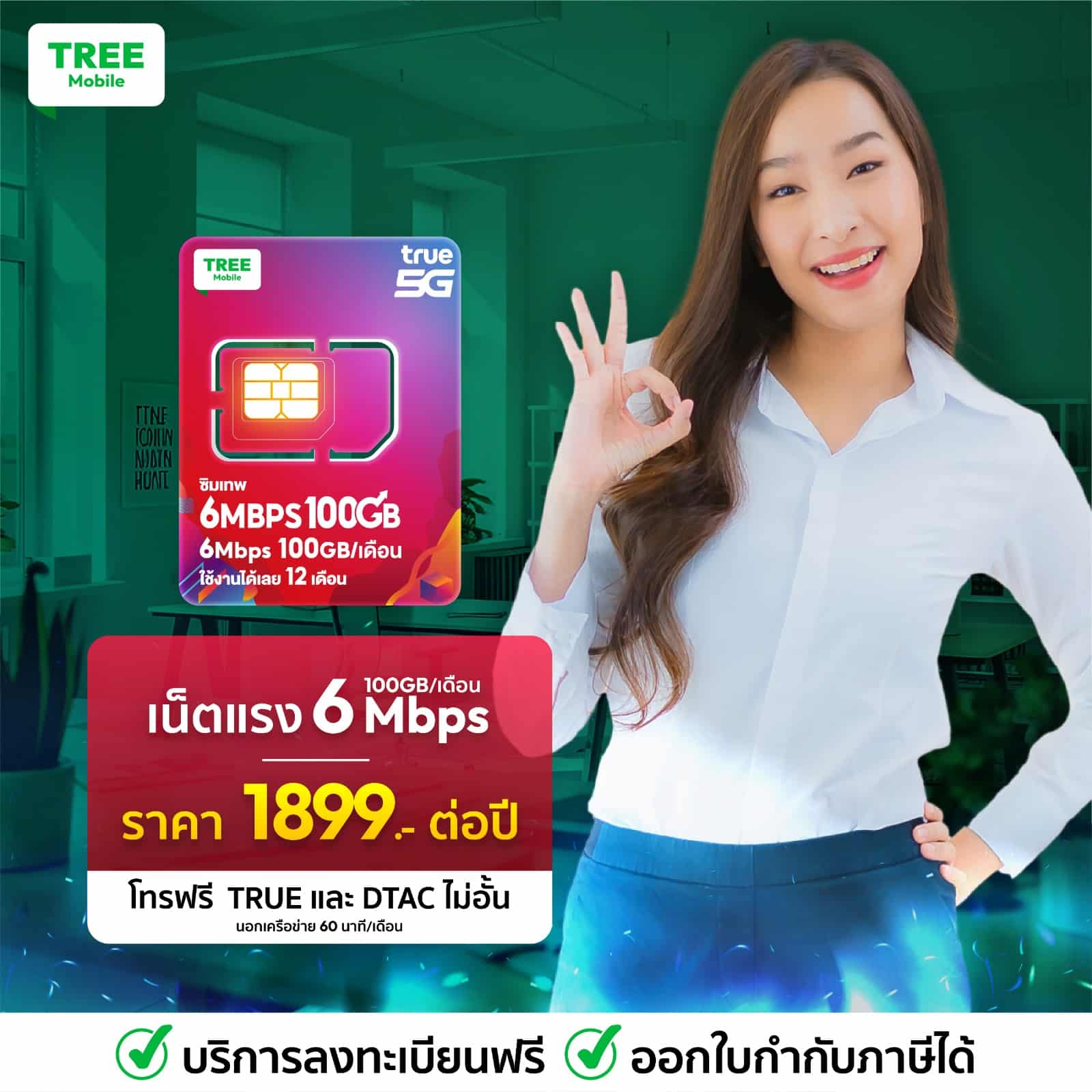 ซิมเน็ตรายปี True 6mbps 100GB